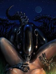 alien woman anime porn. Photo #6